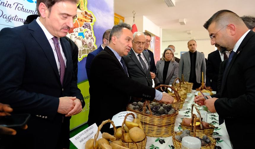 Milli Patates Çeşitleri Üreticilere Törenle Dağıtıldı