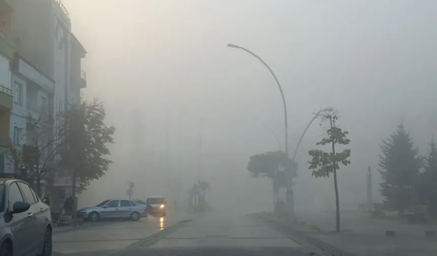 Erbaa’da Yoğun Sis Ulaşımı Olumsuz Etkiliyor