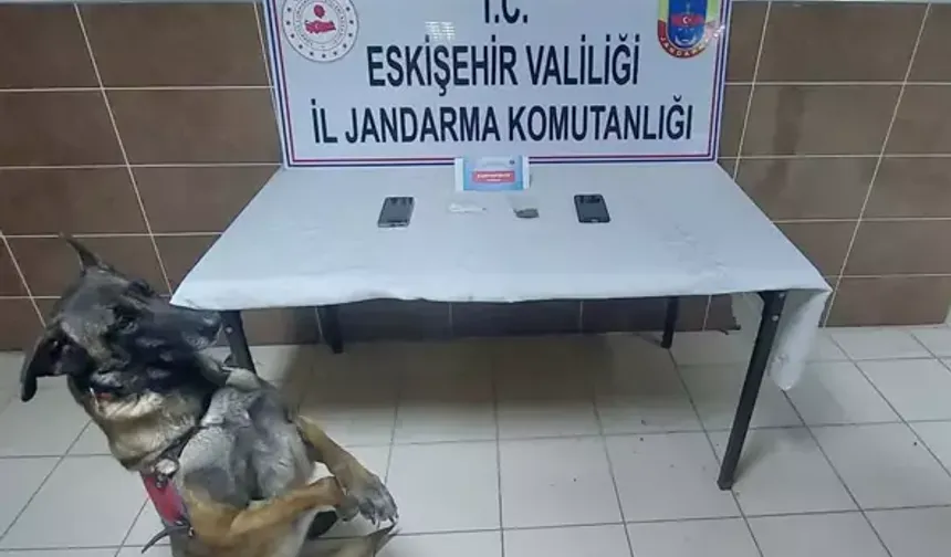 Uyuşturucu Operasyonu: 6,6 Gram Bonzaiyle Yakalanan 2 Şüpheli Gözaltına Alındı!