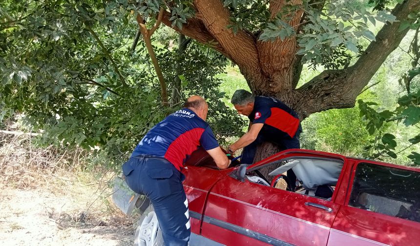 Direksiyon Hakimiyetini Kaybeden Sürücü Ağaca Çarptı