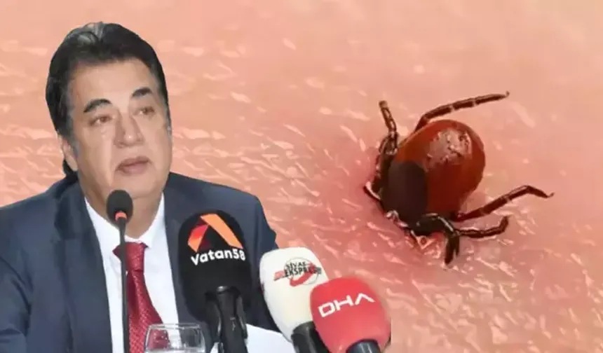 Prof. Dr. Şengönül: KKKA’da Yüzde 90 Başarı Oranı Sağladık