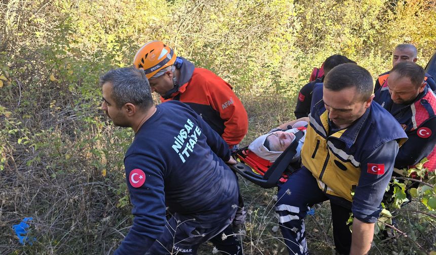 Niksar'da Hafif Ticari Araç, Uçuruma Yuvarlandı; 2 Yaralı