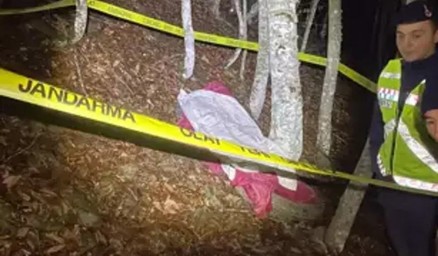 Traktör Uçuruma Düştü: 1 Ölü, 1 Yaralı