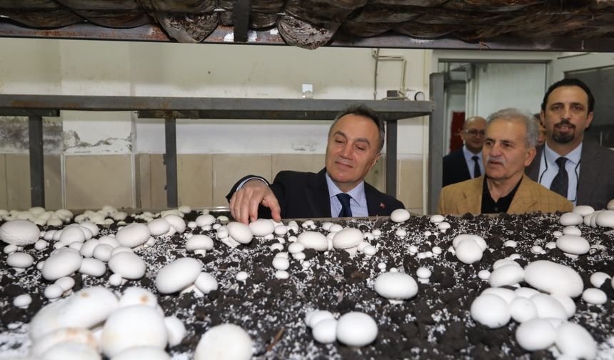 Rektör Prof. Dr. Fatih Yılmaz’dan Tokat’ta Mantar Üretim Tesisine Ziyaret