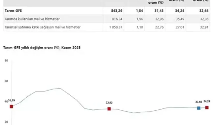 TÜİK: Tarımsal Girdi Fiyatları Yıllık %34,24 Yükseldi