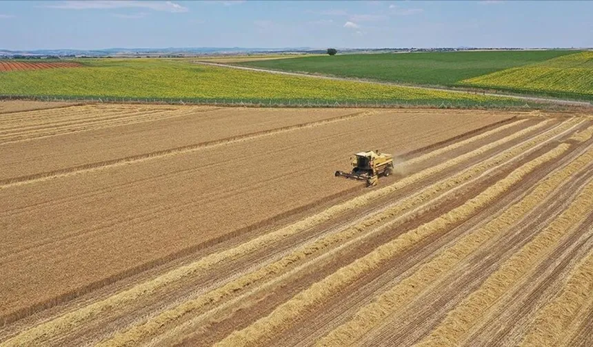 Niksar’da IPARD III 2026 Takvimi Açıklandı: 241 Milyon Avroluk Dev Destek