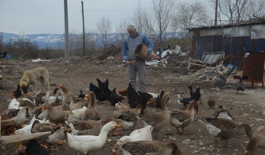Sanayinin Paslı Çarkları Arasında Yükselen Doğa Senfonisi: Kaporta Ustası Durmuş’un "Kanatlı" Dünyası