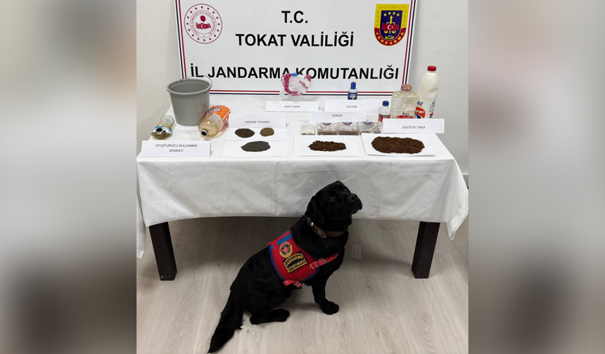 Tokat'ta Uyuşturucu Operasyonu 7 Gözaltı