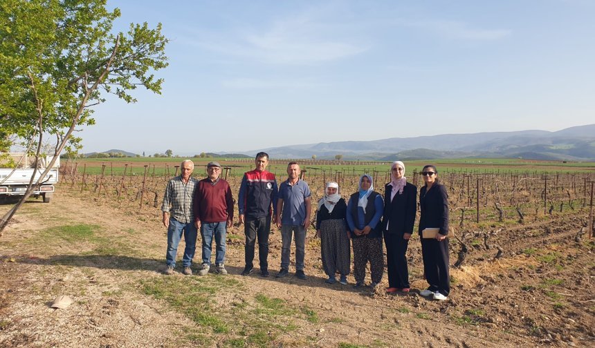 Erbaa’da Tarımın Nabzı Sahada Tutuluyor: Hem Maliyet Analizi Hem Teknik Destek!