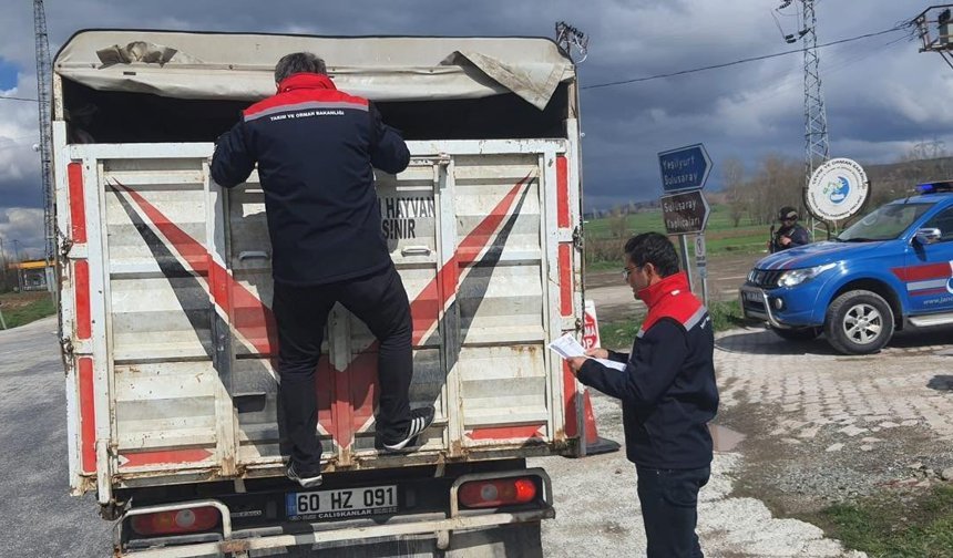 Yeşilyurt’ta Hayvan Hareketlerine Sıkı Takip: Yol Denetimleri Aralıksız Sürüyor!