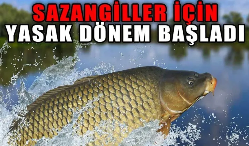 Tokat’ta İç Sularda Av Yasağı 1 Nisan’da Başladı