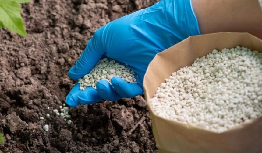 Tokat’ta Gübre Desteği Listeleri Açıklandı: 5 Günlük Kritik Süre Başladı!