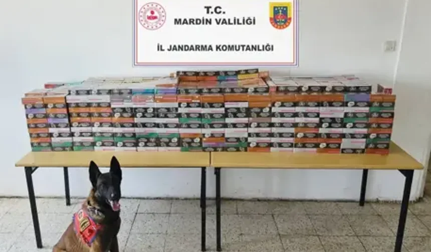 Mardin’de 4 Milyon TL’lik Kaçak Tütün Operasyonu, 15 Gözaltı
