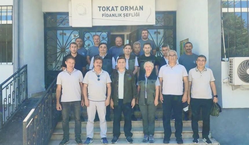 Tokat, “Yeşil Vatan”In Fidan Üssü Oluyor: Genel Müdürlükten Üst Düzey Ziyaret!