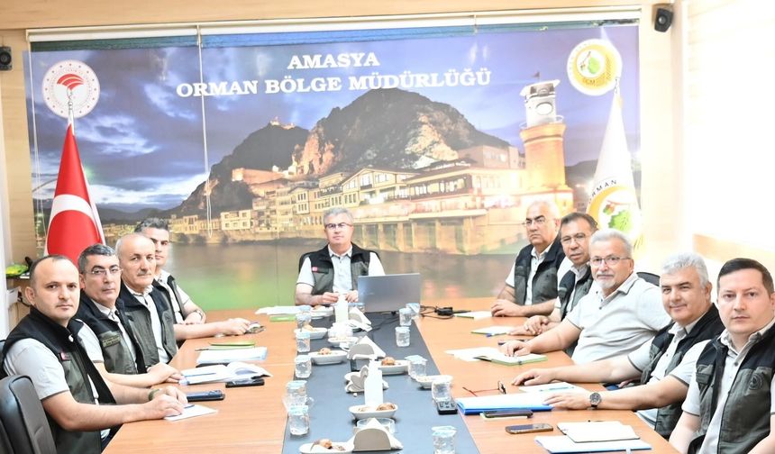 Amasya Orman Bölge Müdürlüğü Toplantısında Tokat’taki Çalışmalar Değerlendirildi
