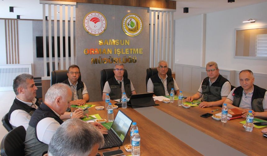 Amasya Orman Bölge Müdürlüğü Toplantısında Tokat ve Bölge İllerinin 2026 Programı Görüşüldü