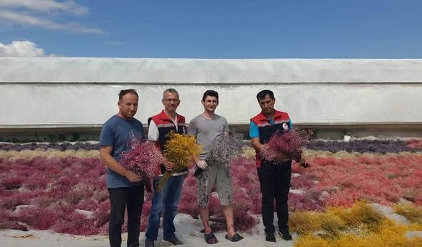 Erbaa İlçe Tarım Müdürlüğü’nden Erbaa’daki Çiçek Üreticilerine Ziyaret