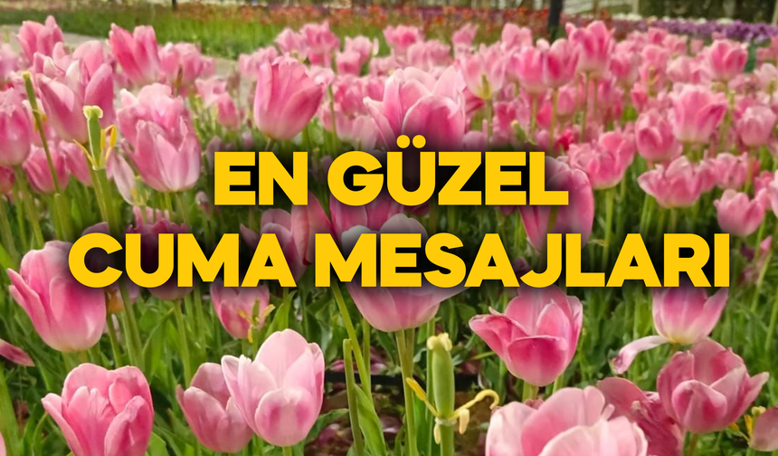 En Yeni Cuma Mesajları 2026: Anlamlı, Dualı, Ayetli ve Kısa Cuma Mesajı Seçenekleri