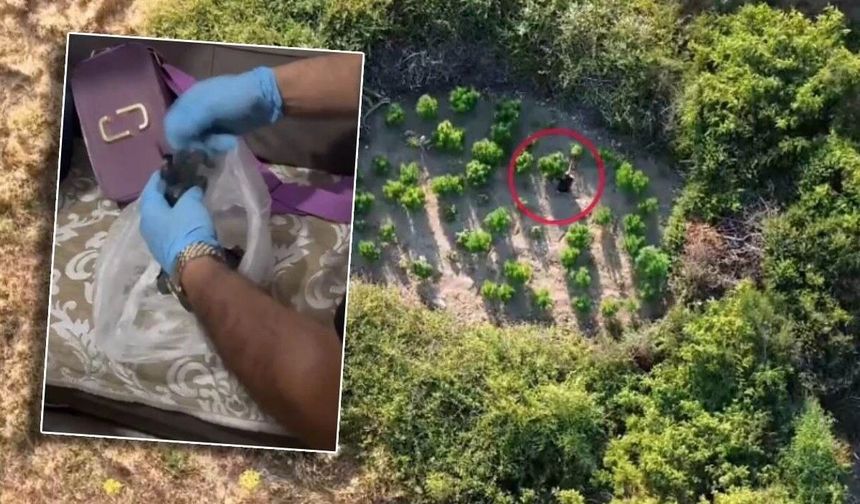 Tokat Dâhil 28 İlde Uyuşturucu Operasyonu!