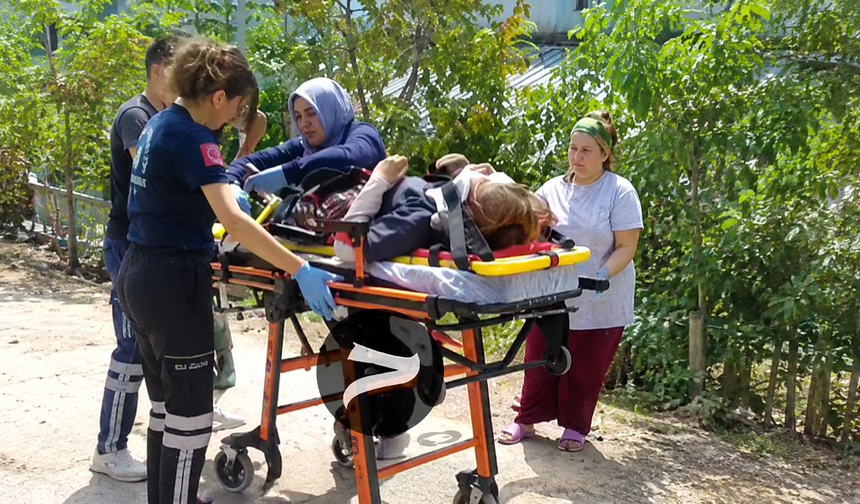 Ekmeğinin Peşindeydi: Tokat’ta Traktörden Düşen Kadın İşçi Yaralandı