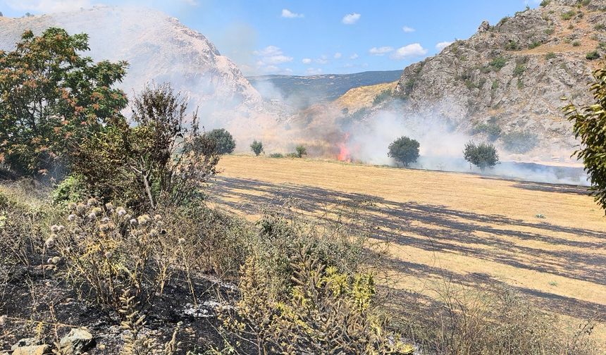 Tokat'ta Ot Yangını, Büyümeden Söndürüldü
