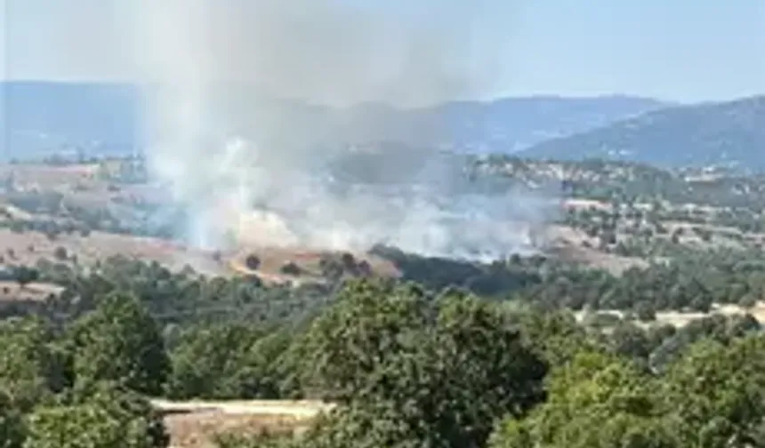 Bursa’da Orman Yangını