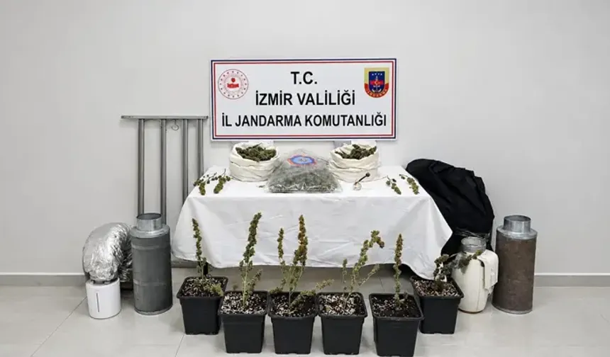 İzmir'de 5 Kilo Skunk Ele Geçirildi