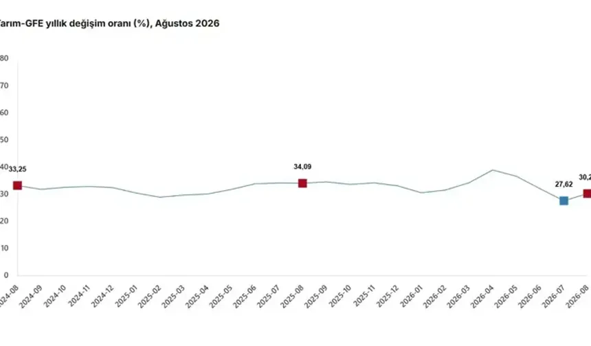 TÜİK: Tarımsal Girdi Fiyatları Ağustosta Arttı