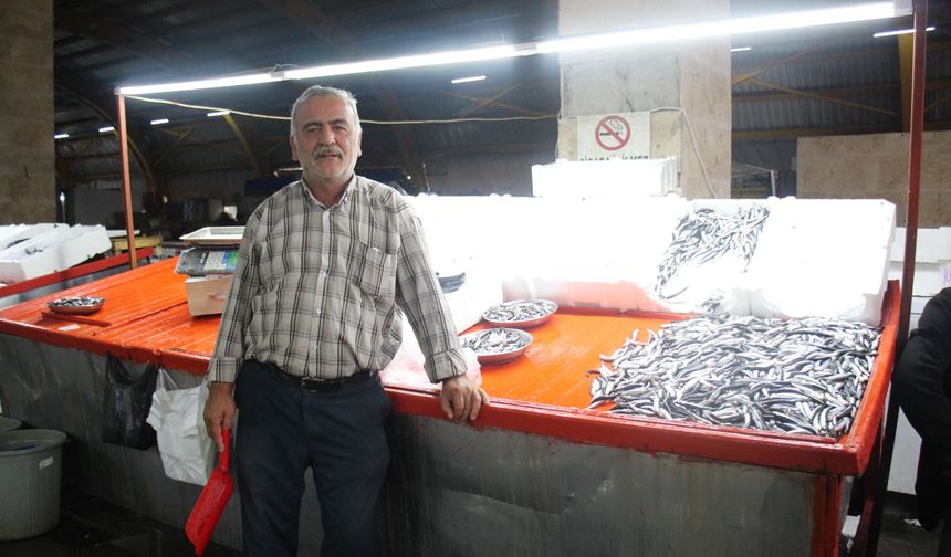 Ekim Ayı Sonunda Erbaa’da Balık Tezgâhları Hareketlendi: Hamsi 250 TL!
