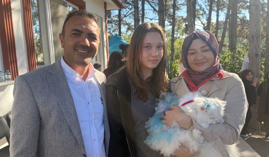 Tokat'ta Kediler Güzellik Yarışmasında Podyuma Çıktı