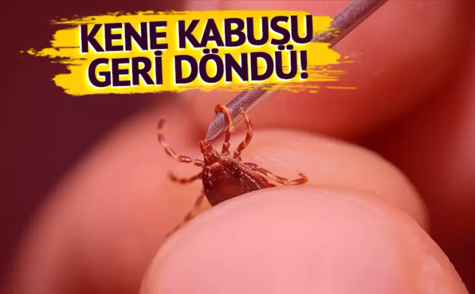 KKKA Şüphesiyle Tokat’ta Hastaneye Kaldırılan 1,5 Yaşındaki Metehan Yaşamını Yitirdi