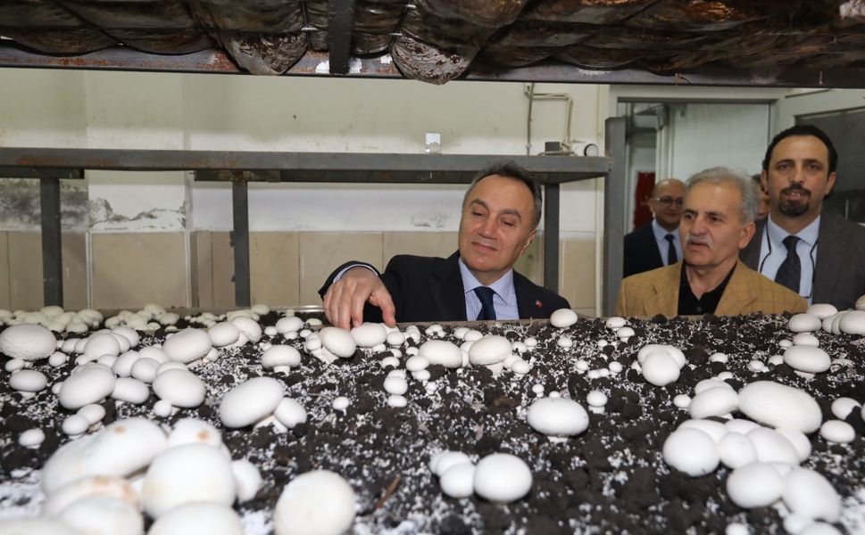 Rektör Prof. Dr. Fatih Yılmaz’dan Tokat’ta Mantar Üretim Tesisine Ziyaret