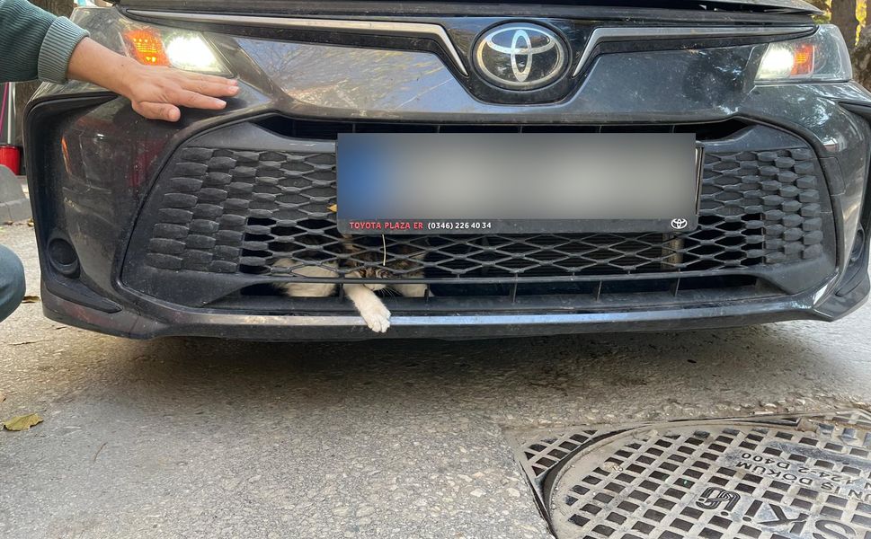 Erbaa’da Isınmak İçin Motora Giren Kedi, Vatandaşları Uğraştırdı