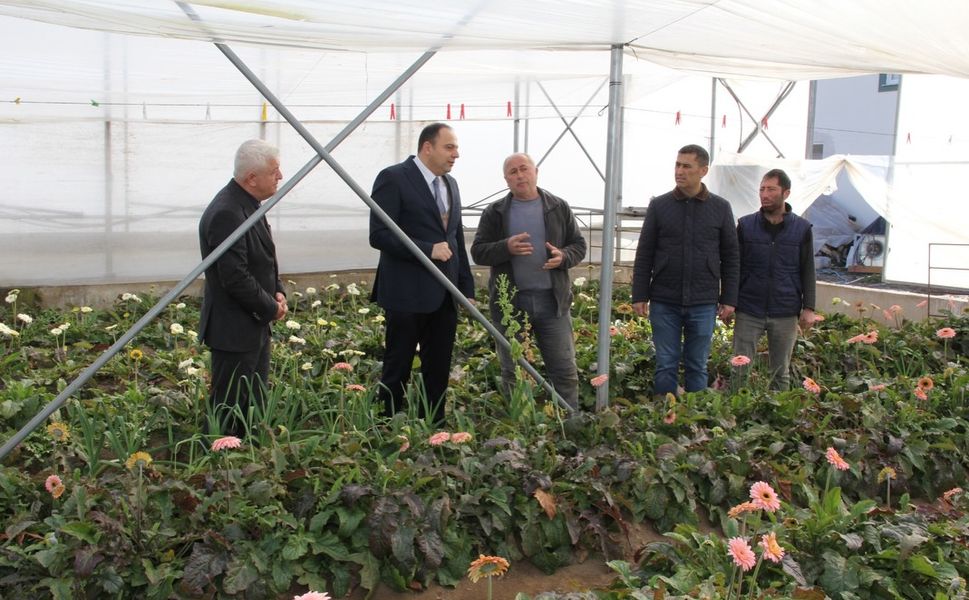 Erbaa Kaymakamı Dr. Remzi Demir, Çiçekçilik Sektöründe Yapılan Yatırımları İnceledi