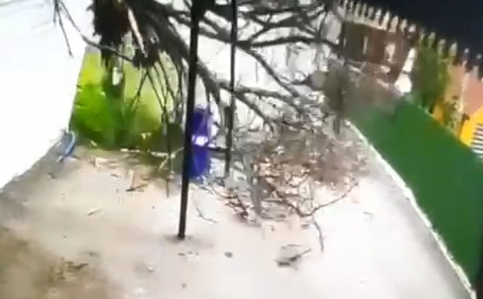 Niksar’da Devrilen Ağacın Altında Kalmaktan Son Anda Kurtuldu