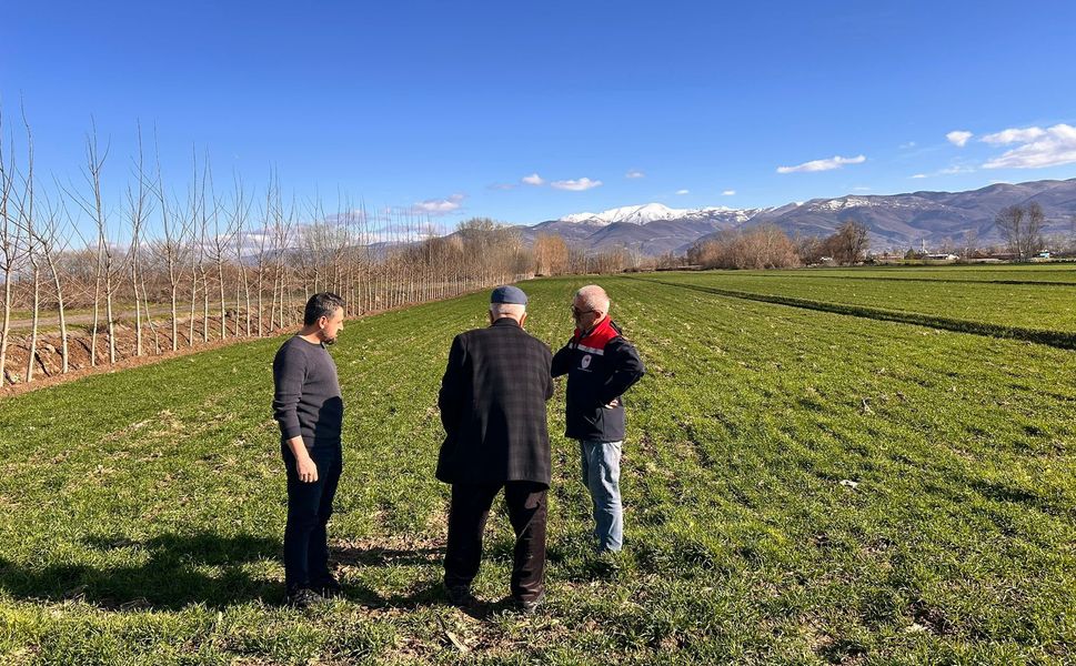 Turhal’da Hububat Tarlalarında Hastalık Alarmı: Tarım Ekipleri Sahada