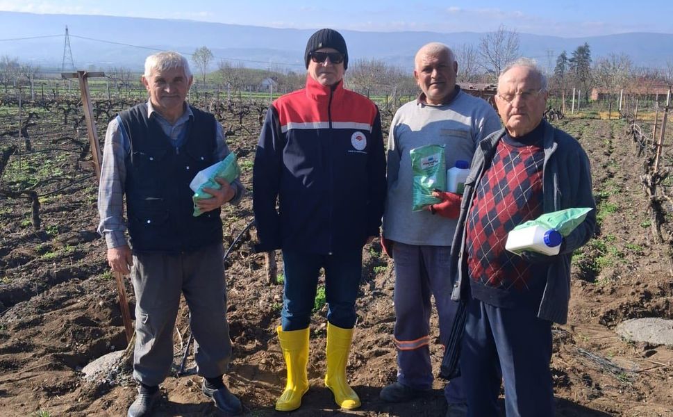 Erbaa Bağlarında "Bağ Uyuzu" Mesaisi: 6 Köyde Eş Zamanlı Çalışma