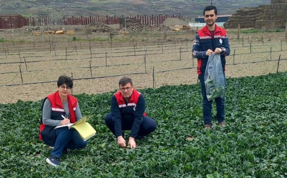 Tokat’ta "Güvenilir Gıda" Seferberliği: Hasat Öncesi Sıkı Denetim