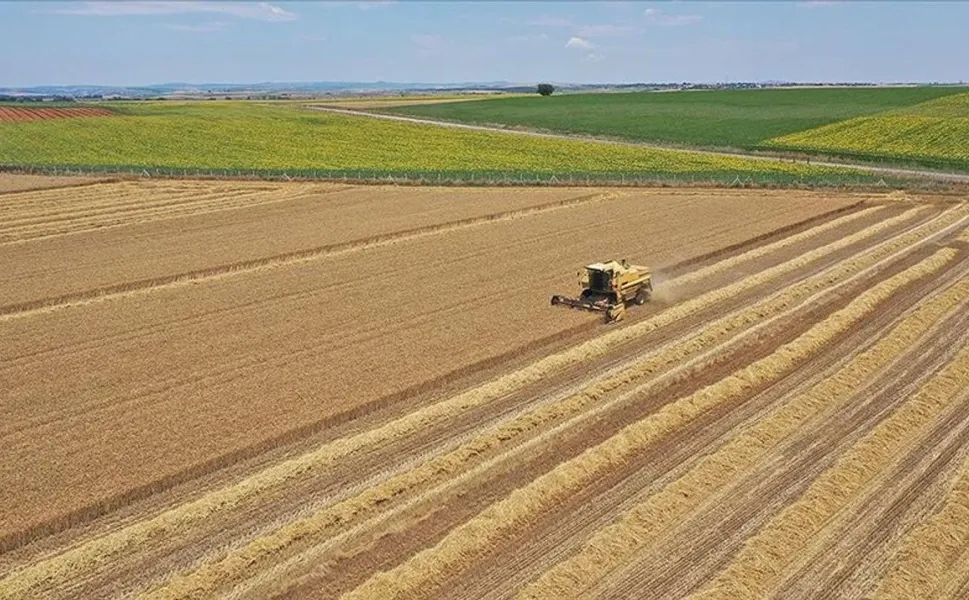 Niksar’da IPARD III 2026 Takvimi Açıklandı: 241 Milyon Avroluk Dev Destek