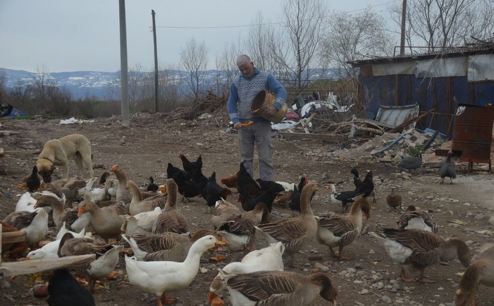 Sanayinin Paslı Çarkları Arasında Yükselen Doğa Senfonisi: Kaporta Ustası Durmuş’un "Kanatlı" Dünyası