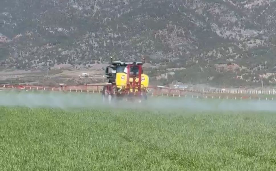 Erbaa’da Buğday Mesaisi: Yağışlar Sonrası "Pas" Alarmı!