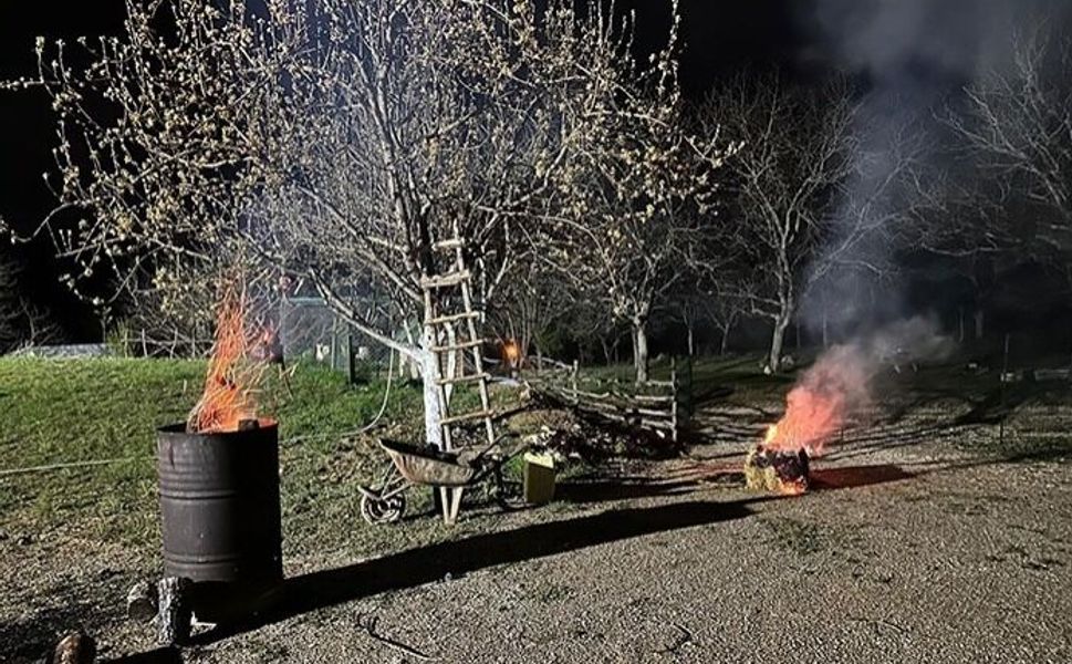 Erbaalı Üreticilerden Don Mesaisi: Çiçek Açan Ağaçlara Örtülü Koruma
