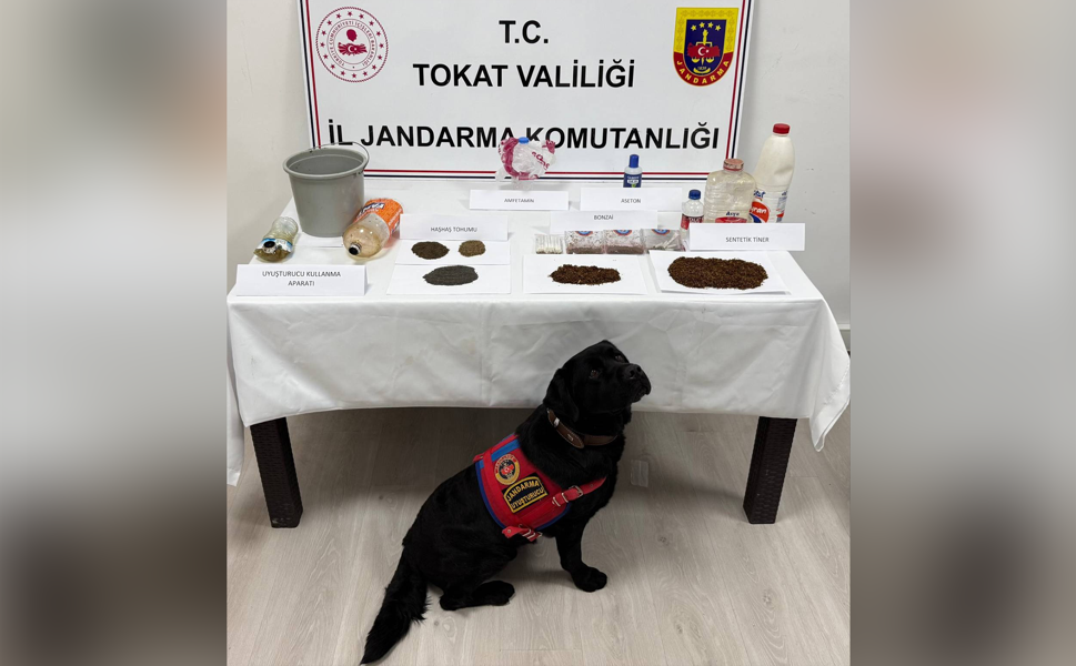 Tokat'ta Uyuşturucu Operasyonu 7 Gözaltı