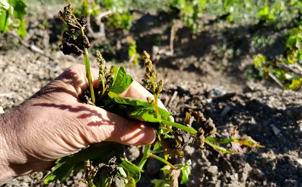 Erbaalılar Dikkat! Geçen Yıl Yaşanan Felaket İçin Bu Yıl Tekrar Uyarı Geldi