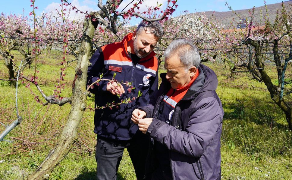Tokat’ta Zirai Don Sonrası İlk Adım: Saha Kontrolleri Başladı