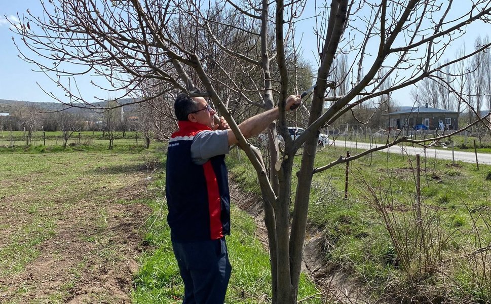 Yeşilyurt’ta Tarım Seferberliği: Hem Budama Eğitimi Hem Tarla Kontrolü!