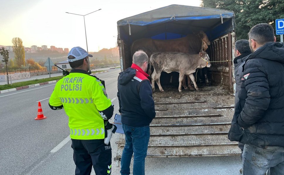 Tokat’ta Kurban Mesaisi Başladı: Veteriner Hekimlerden Yol Boyu Sıkı Denetim!