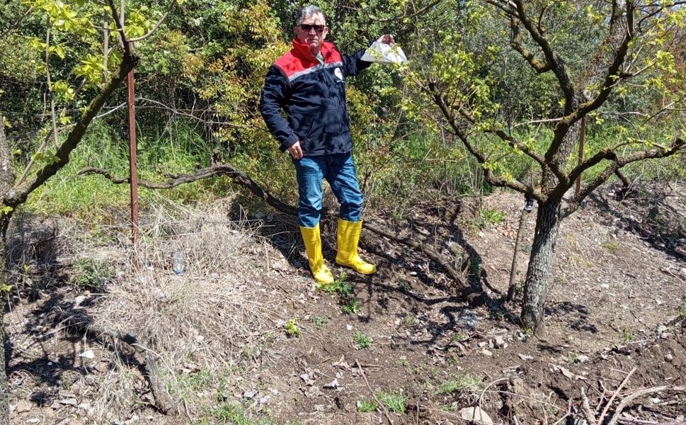 Erbaa’da Meyve Bahçelerine "Akdeniz" Kalkanı: Tuzaklar Kuruldu!