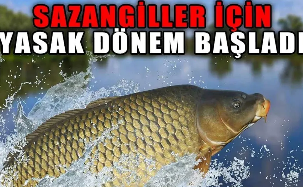 Tokat’ta İç Sularda Av Yasağı 1 Nisan’da Başladı