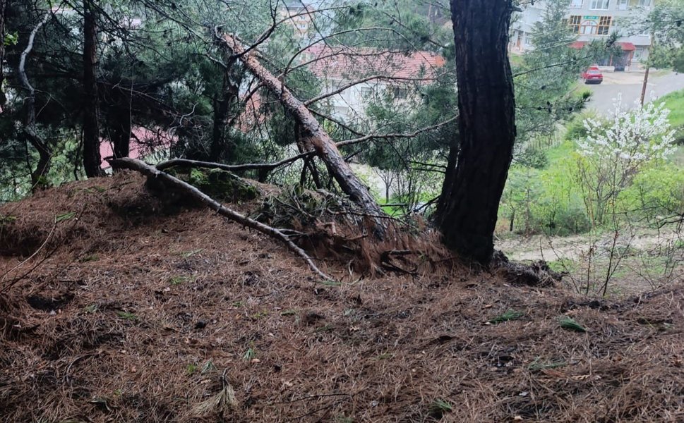 Tokat'ta Toprak Kayması Ve Kaya Düşmesi Nedeniyle 15 Daire Tahliye Edildi